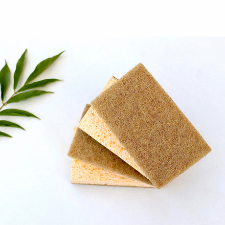 Discover the Truth: Are Cellulose Sponges Truly Compostable?