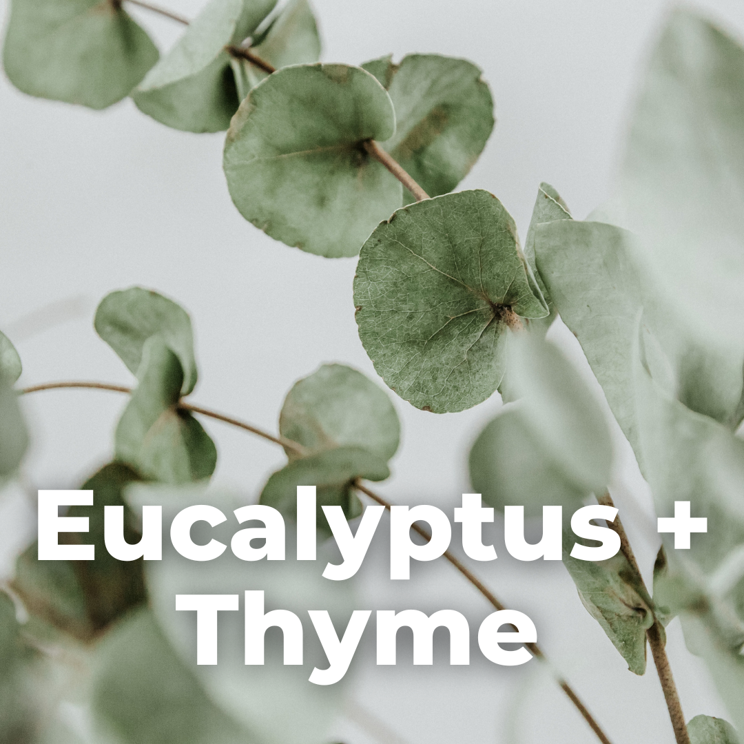 Eucalptus + Thyme Soy Wax Eco Candle: 180ml - 37hr Burn