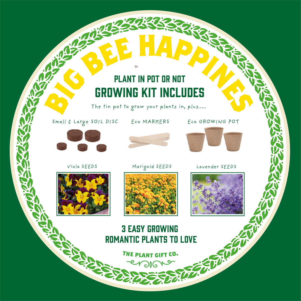 Big Bee Happiness Eco Plant Grow Kit, Gardening Gift