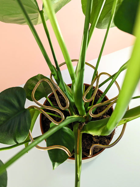 Copper Look Monstera Shaped Plant Support From Above
