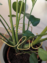 Monstera Shaped Plant Support - Blue Coloured