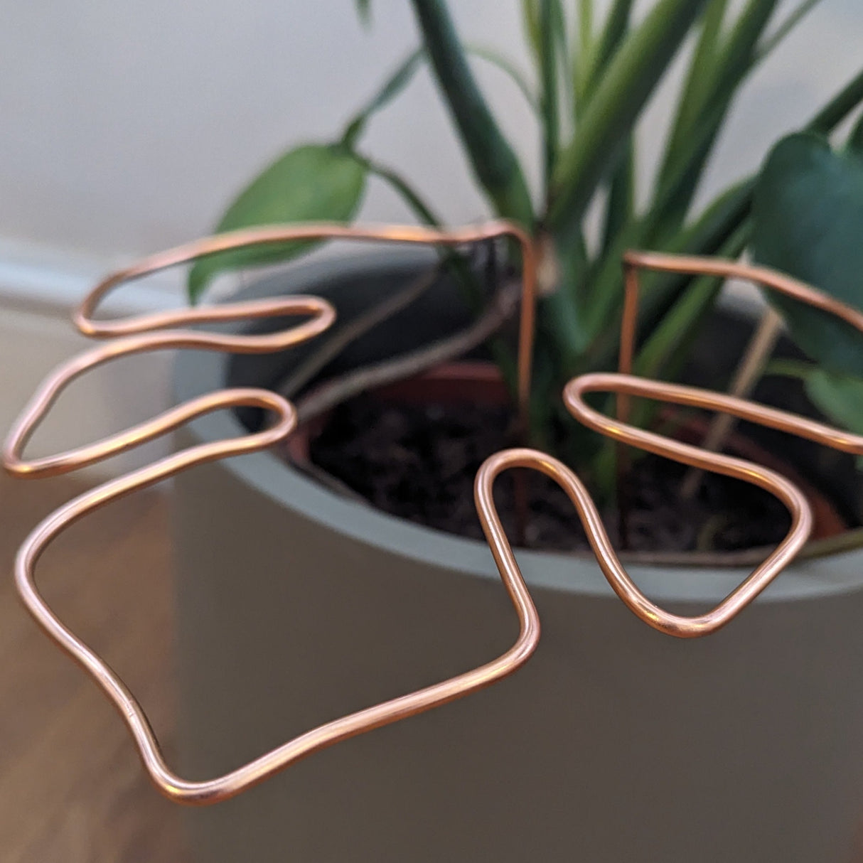 Handmade Monstera Plant Support 