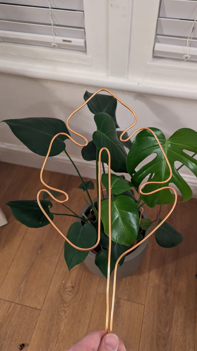 monstera on trellis Monstera Shaped Trellis/Plant Support