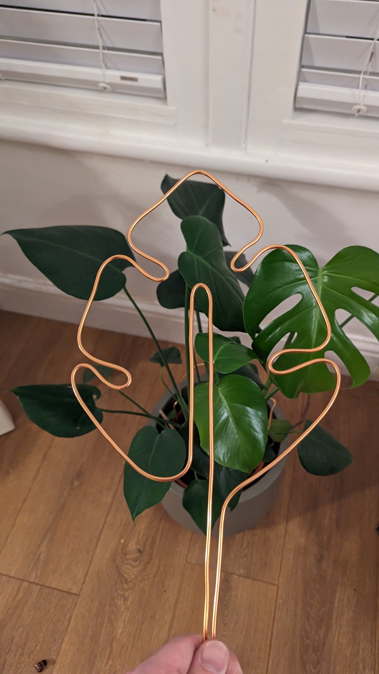 Monstera Shaped Trellis/Plant Support - Gift Ready