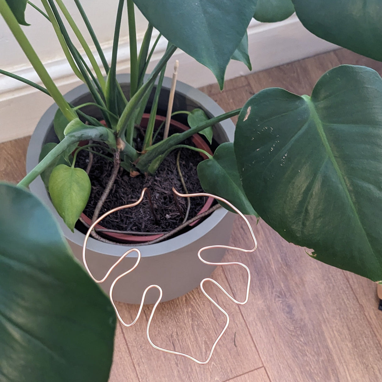 Monstera Shaped Plant Support - Copper Coloured