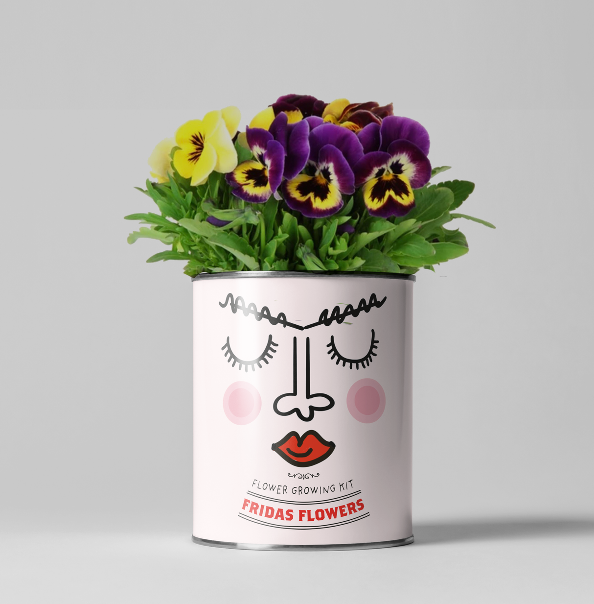 Frida's Flowers. Eco Grow Your Own Plant, Gardening Kit.