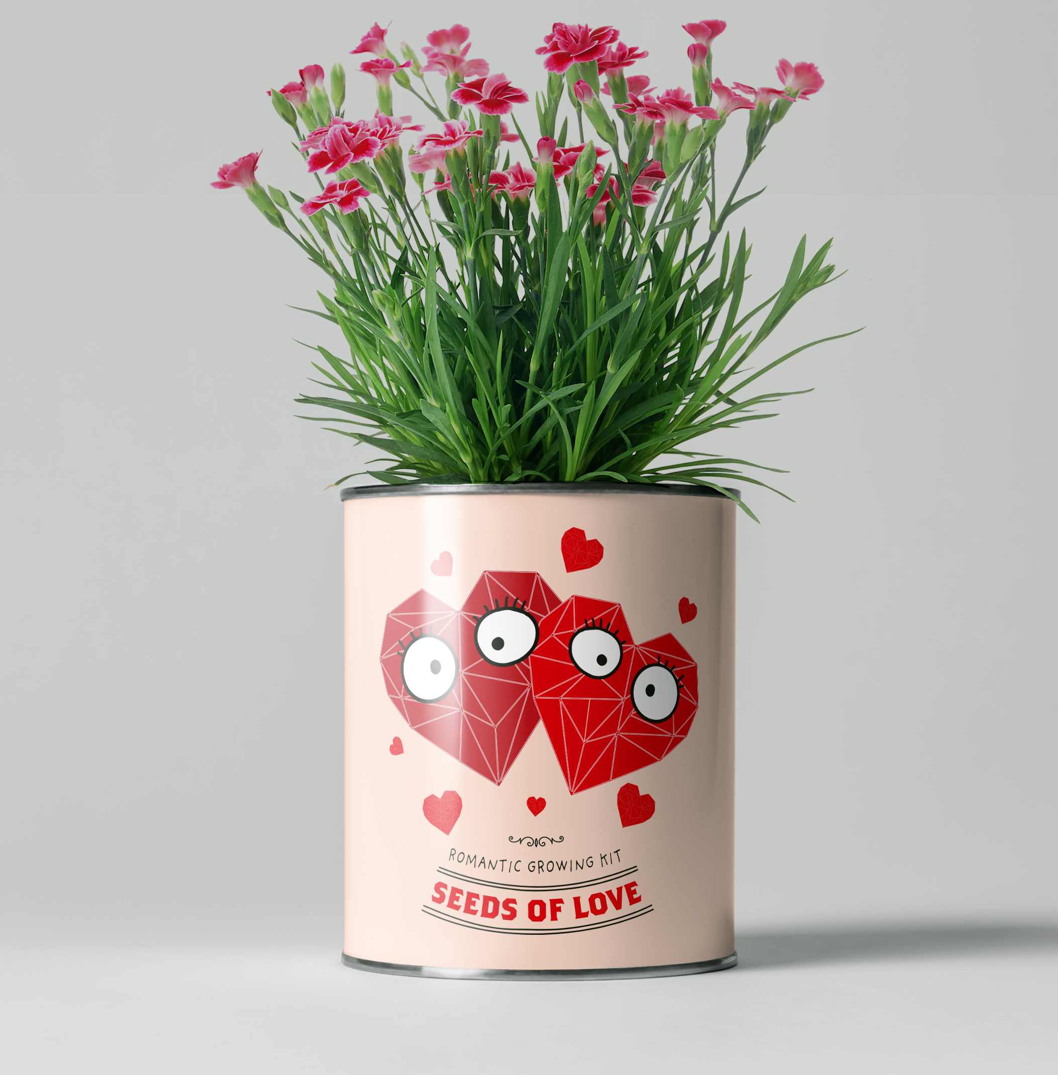 6 Unique Valentine's Day Gifts For Gardeners And Plant Lovers - Sow ʼn Sow